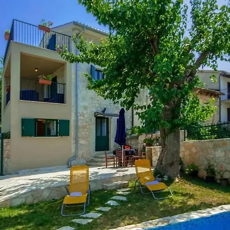 Rustical Monspinosa Dracevac