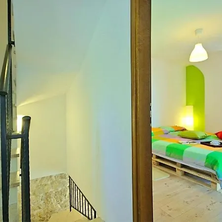 Rustical Monspinosa Dračevac