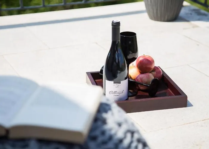 Villa Rustical Monspinosa Dracevac