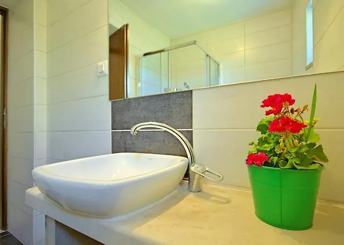 Villa Rustical Monspinosa Dracevac